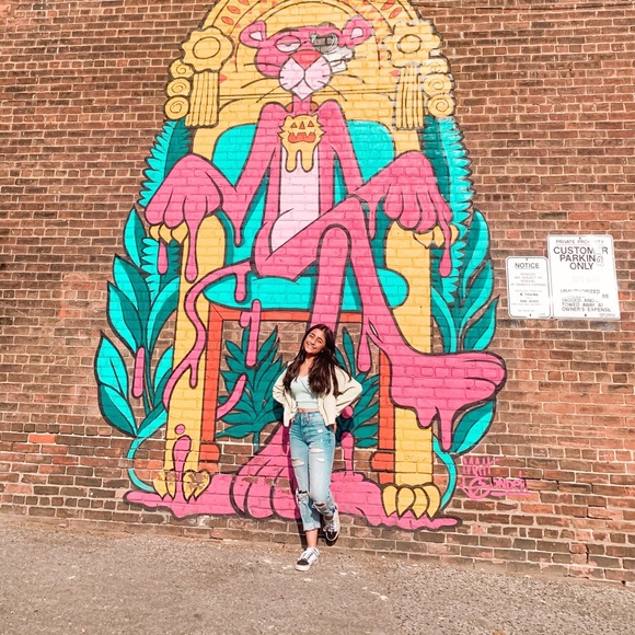 Meet your Posher, Shanzay - Picture 1 of 1